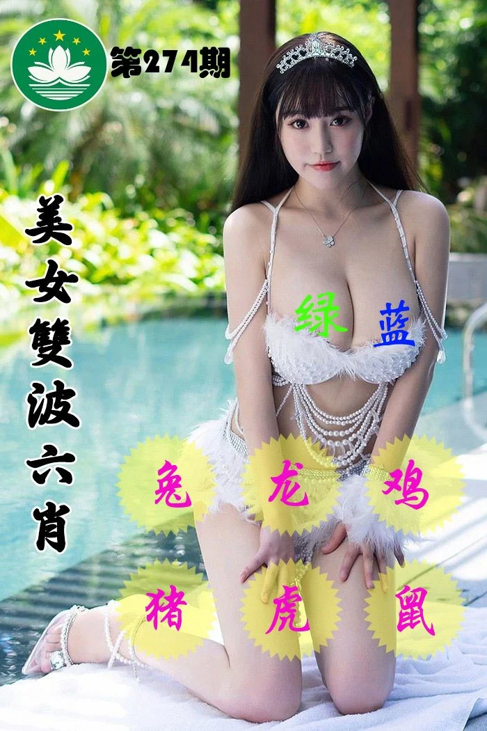 美女双波六肖